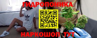apvp Бузулук