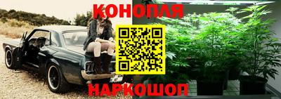 стаф Будённовск