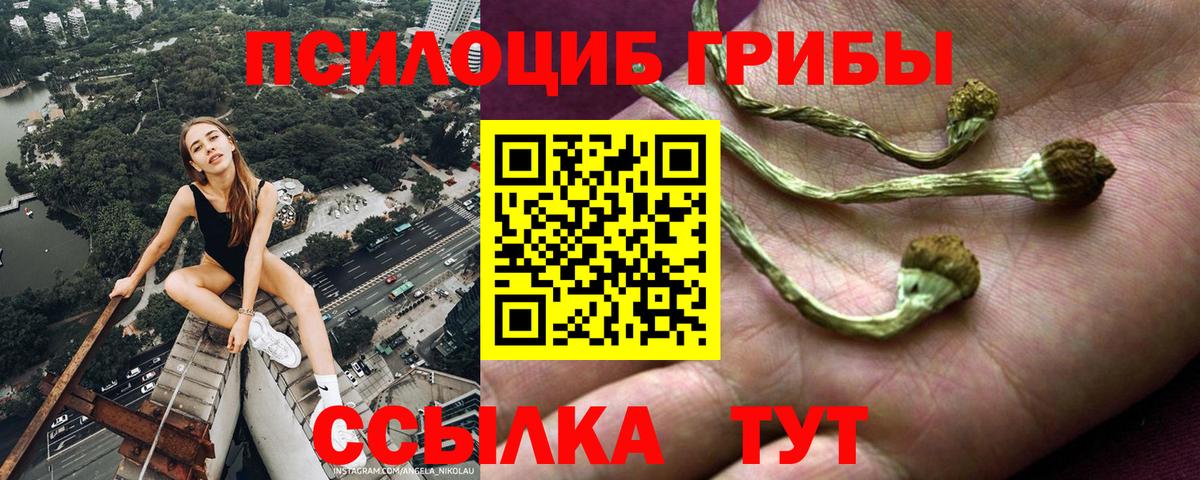 Галлюциногенные грибы мухоморы  Вход с VPN  Галлюциногенные грибы мухоморы  Киров 