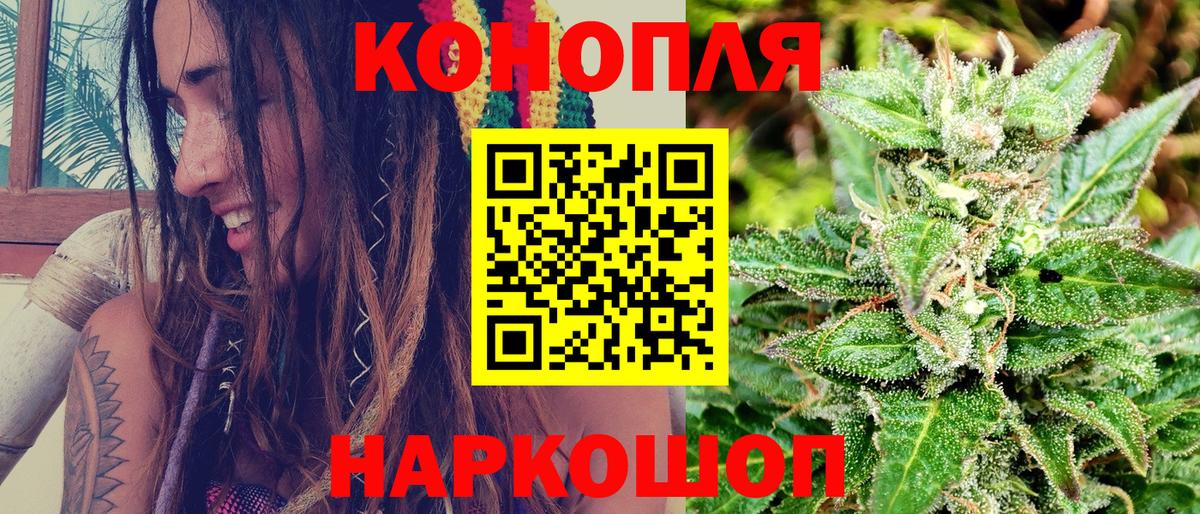 Канабис сатива  Бошки Шишки план  Марихуана план  Бошки Шишки Bruce Banner  Киров  Вход с VPN 